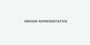 EEG E EPILEPSIA